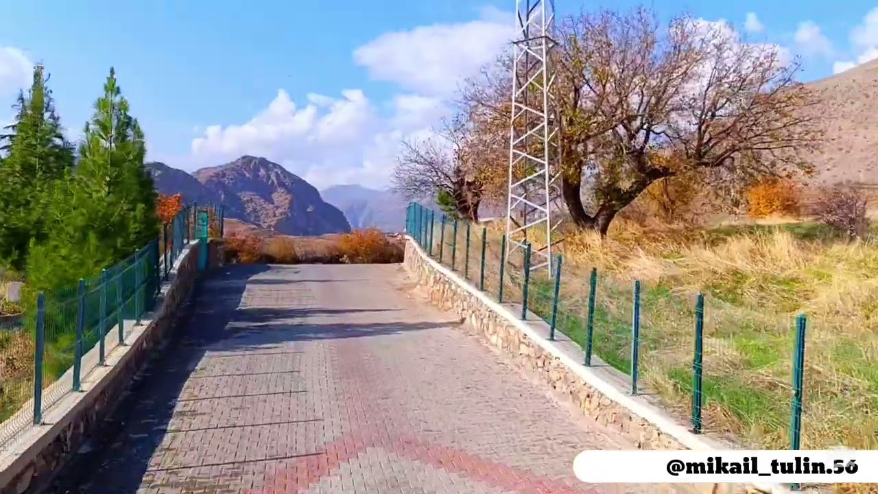 beğendik köyü bedar