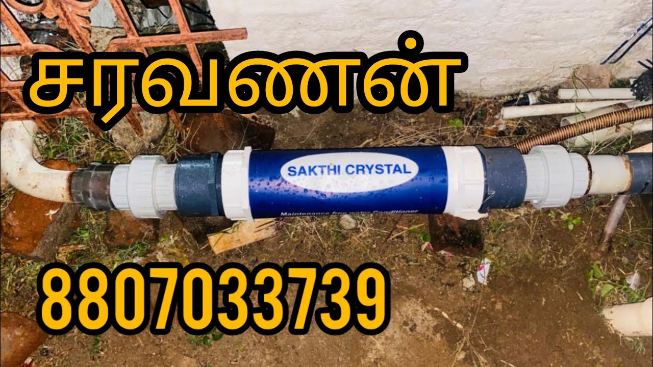 உப்பு தண்ணீரில் கரும்பு விவசாயம்