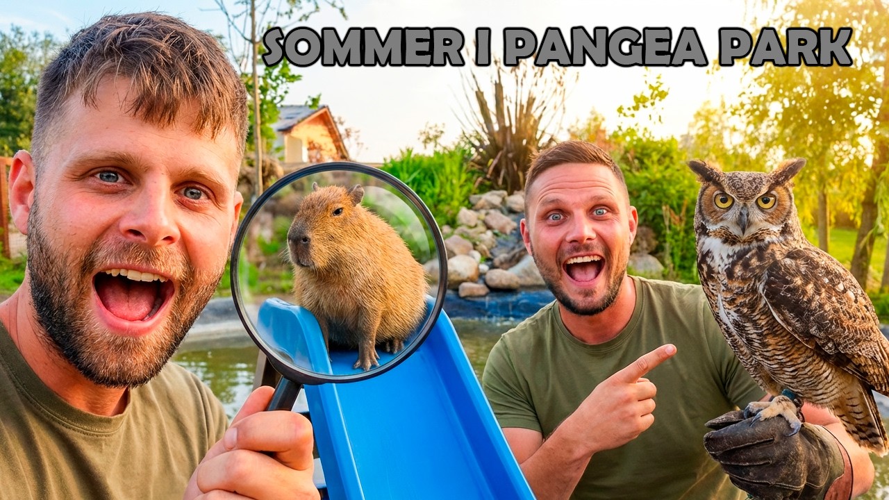 Sommer i dyreparken Pangea Park
