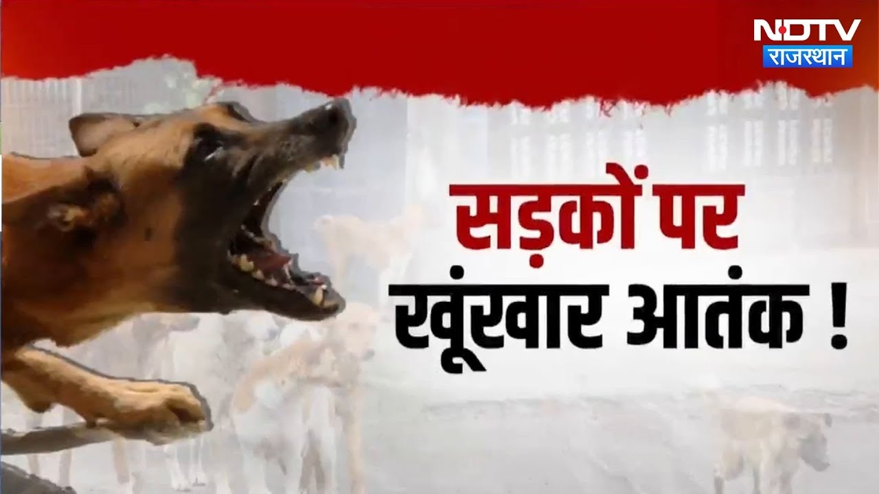 Street Dogs: चीख-पुकार, खून और दहशत का मंजर, Kota और Ringas में आवारा कुत्तों का आतंक! Rajasthan