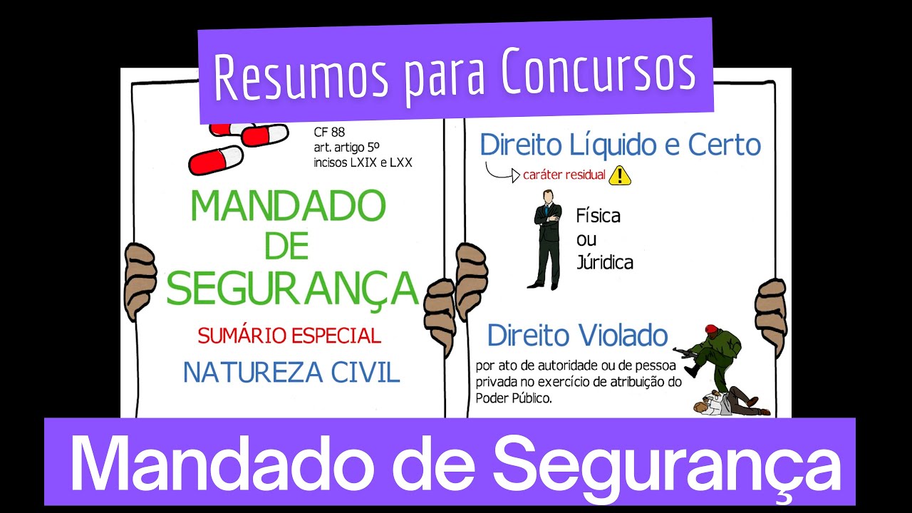 Rem&eacute;dio Constitucional Mandado de Seguran&ccedil;a