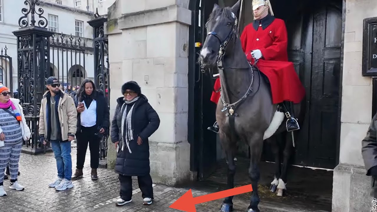 Guard Shouts at her TWICE - Out of the Box. 