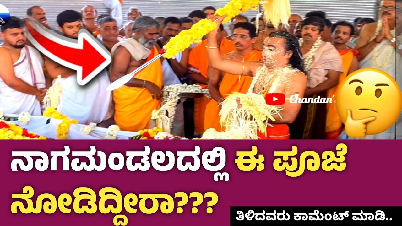 ನಾಗಮಂಡಲದಲ್ಲಿ ಈ ಪೂಜೆ ನೋಡಿದ್ದೀರಾ ❓❓ || ತಿಳಿದವರು ಕಾಮೆಂಟ್ ಮಾಡಿ...🙏🙏