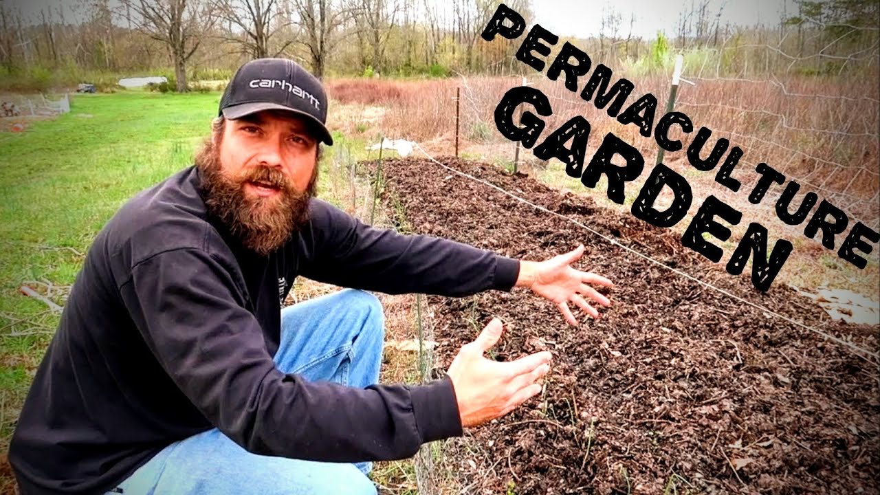 How To Stack Multiple Different Plants In Your Garden