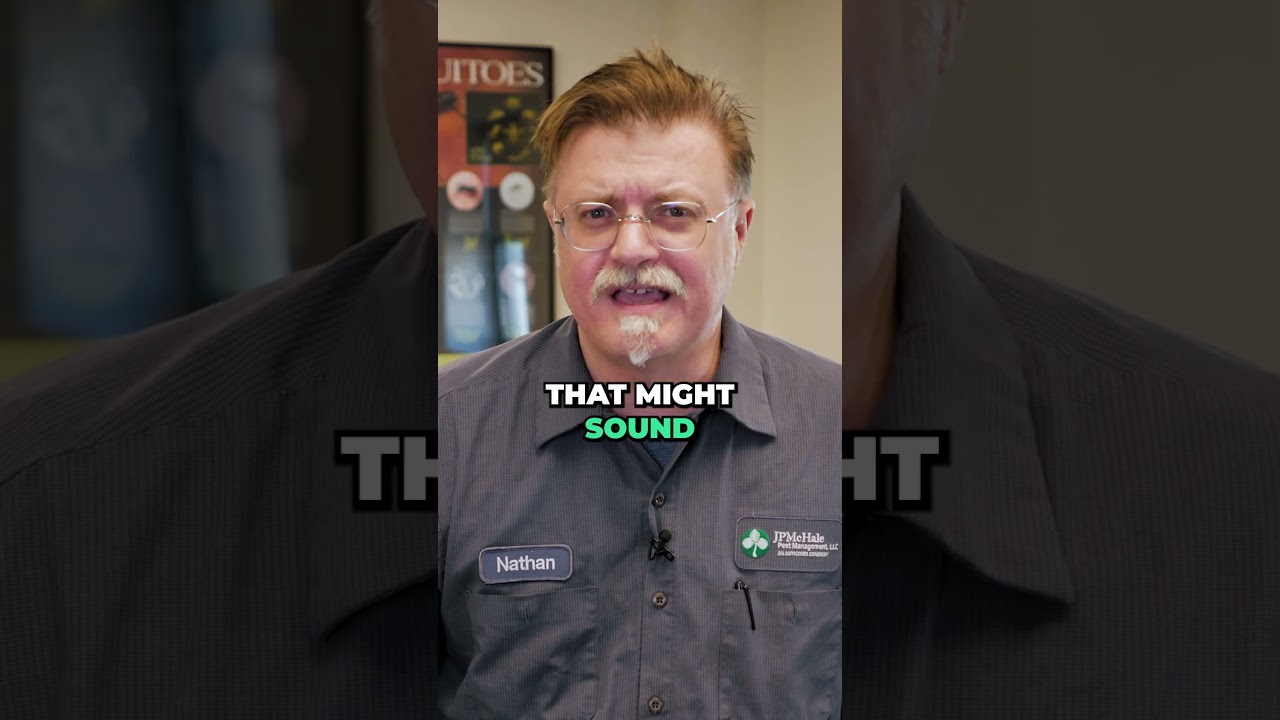 PEST CONTROL vs EXTERMINATORS #shorts
