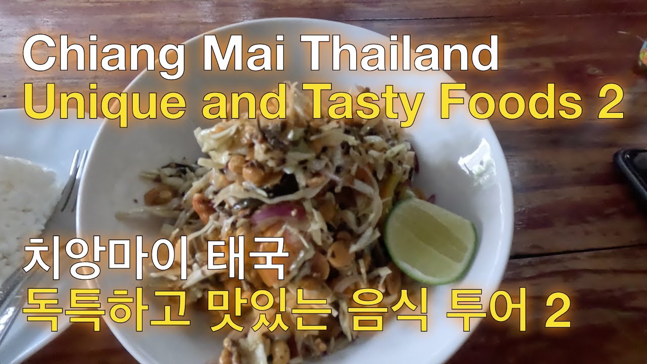 Chiang Mai Unique and Tasty Foods Tour 2 | 치앙마이 독특하고 맛있는 음식 투어 2 | Thailand | 태국