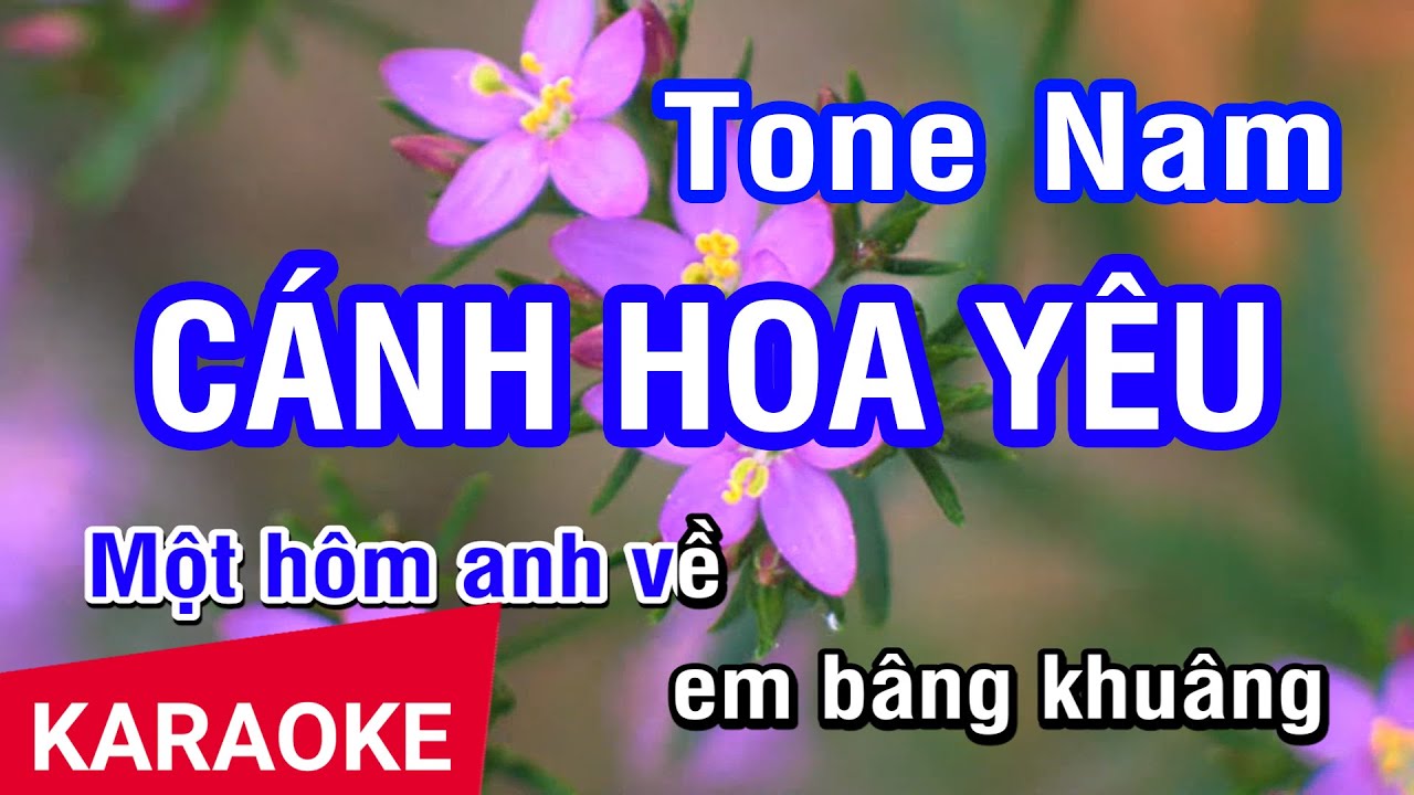 KARAOKE Cánh Hoa Yêu Tone Nam (C#m) | Nhan KTV