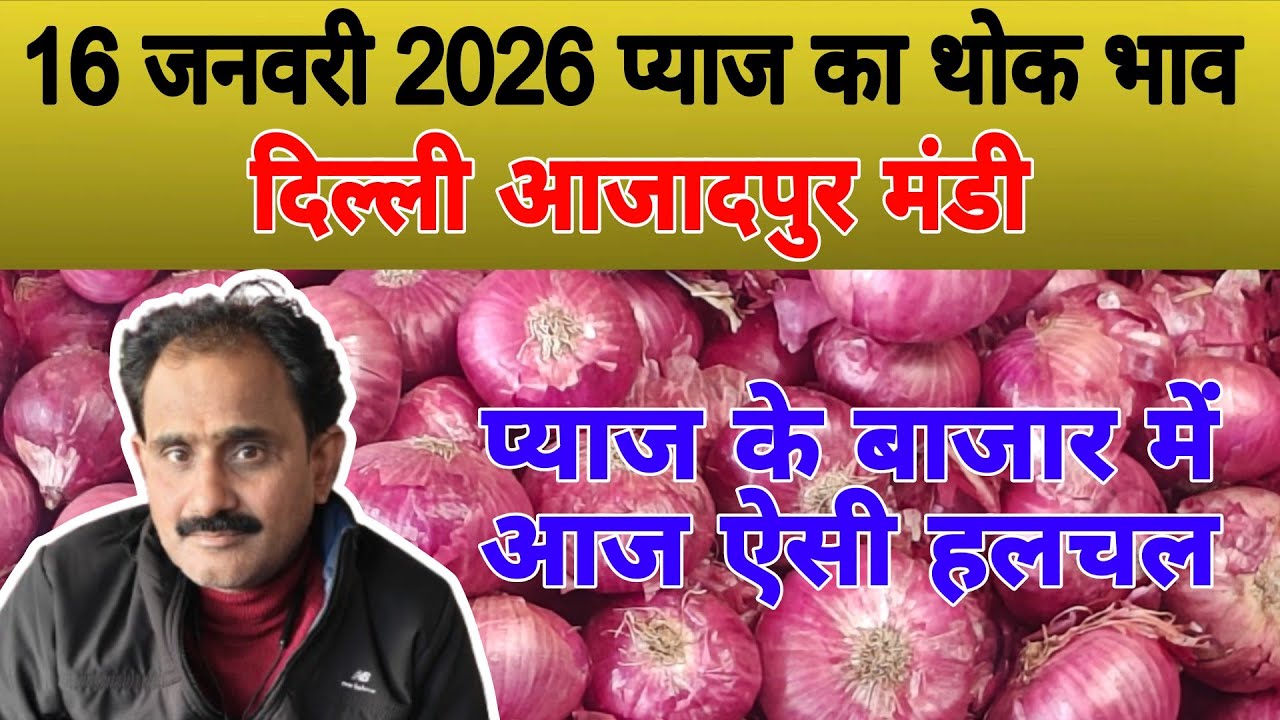 प्याज के बाजार में आज ऐसी हलचल | Today onion price | pyaj ka bhav 