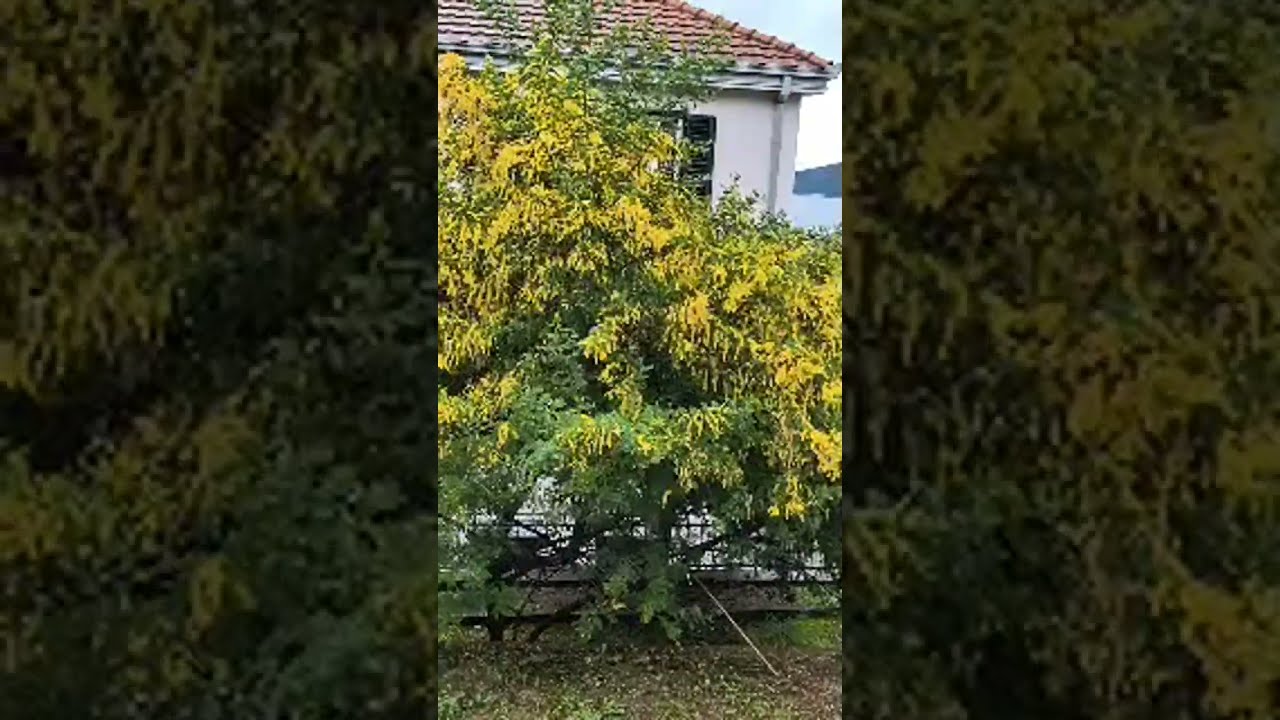 Pridruži mi se tako što ćeš se pretplatiti na kanal .Idem po karte za pozorište