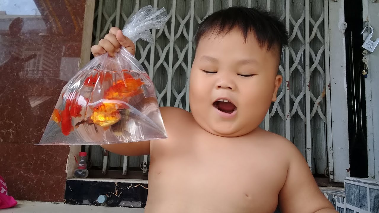 Đồ chơi trẻ em bé pin nuôi cá 3 đuôi ❤ PinPin TV ❤ Baby toys feed fish