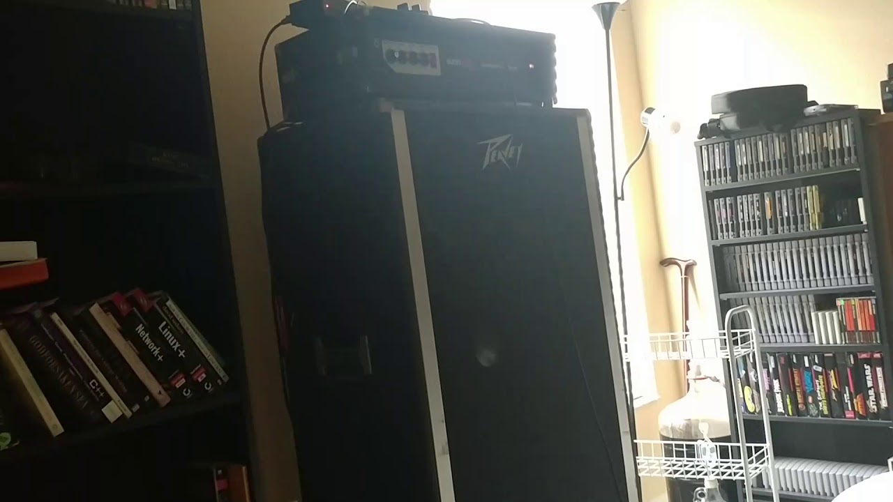 Sunn Concert Bass with Peavey 3620
