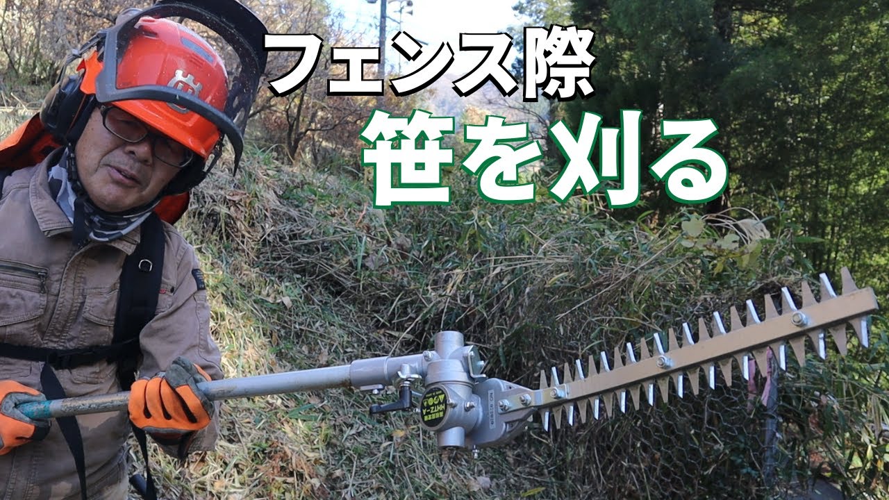 何年も手付かずの県道上のフェンス際の笹ジャングルの整備