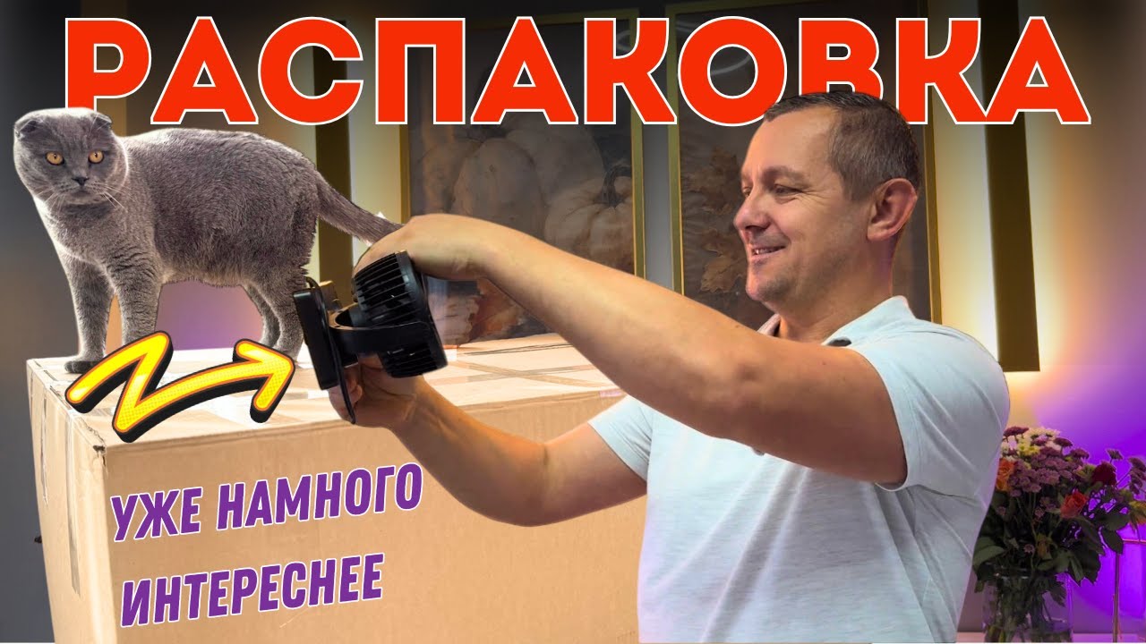 Что мы нашли в огромной коробке? Находки удивили