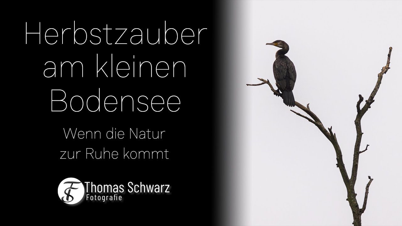 Herbstzauber am kleinen Bodensee - Wenn die Natur zur Ruhe kommt 