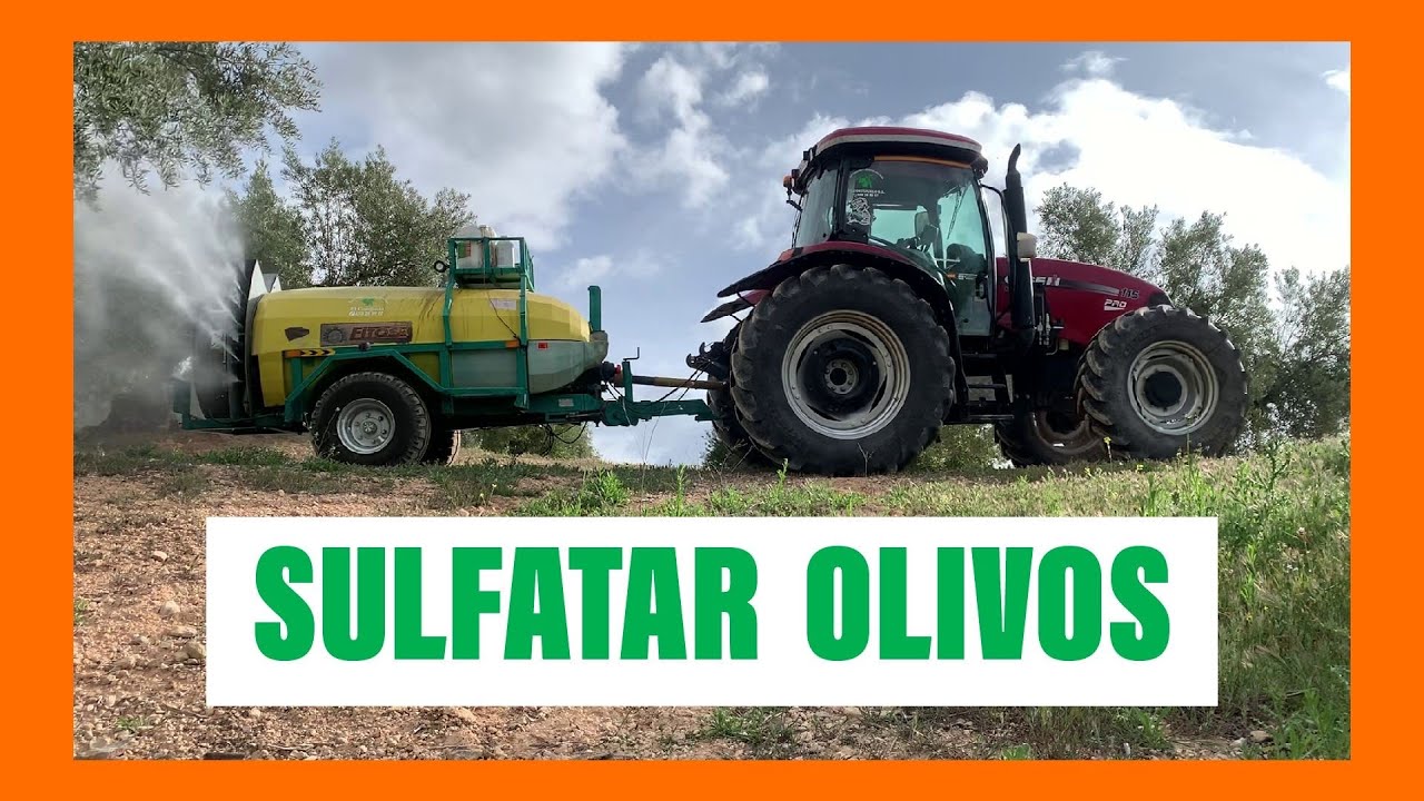 SULFATAR OLIVOS 🌳 Atomizador 3000 L 🚜
