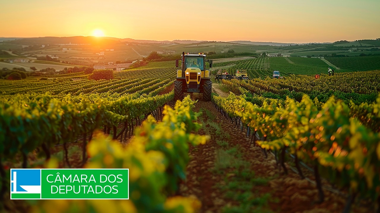 Agricultura e Pecuária - Discussão e votação de propostas - 04/03/2026