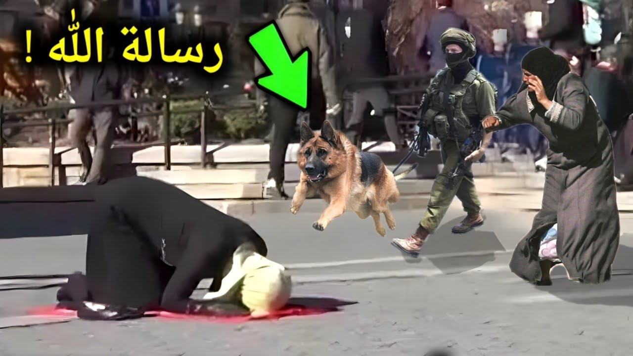 جندي إسرائيلي رأى امرأة فلسطينية تصلي في الشارع ففعل شئ أذهل الجميع؟ ردة فعل المرأة صدمت الملايين !