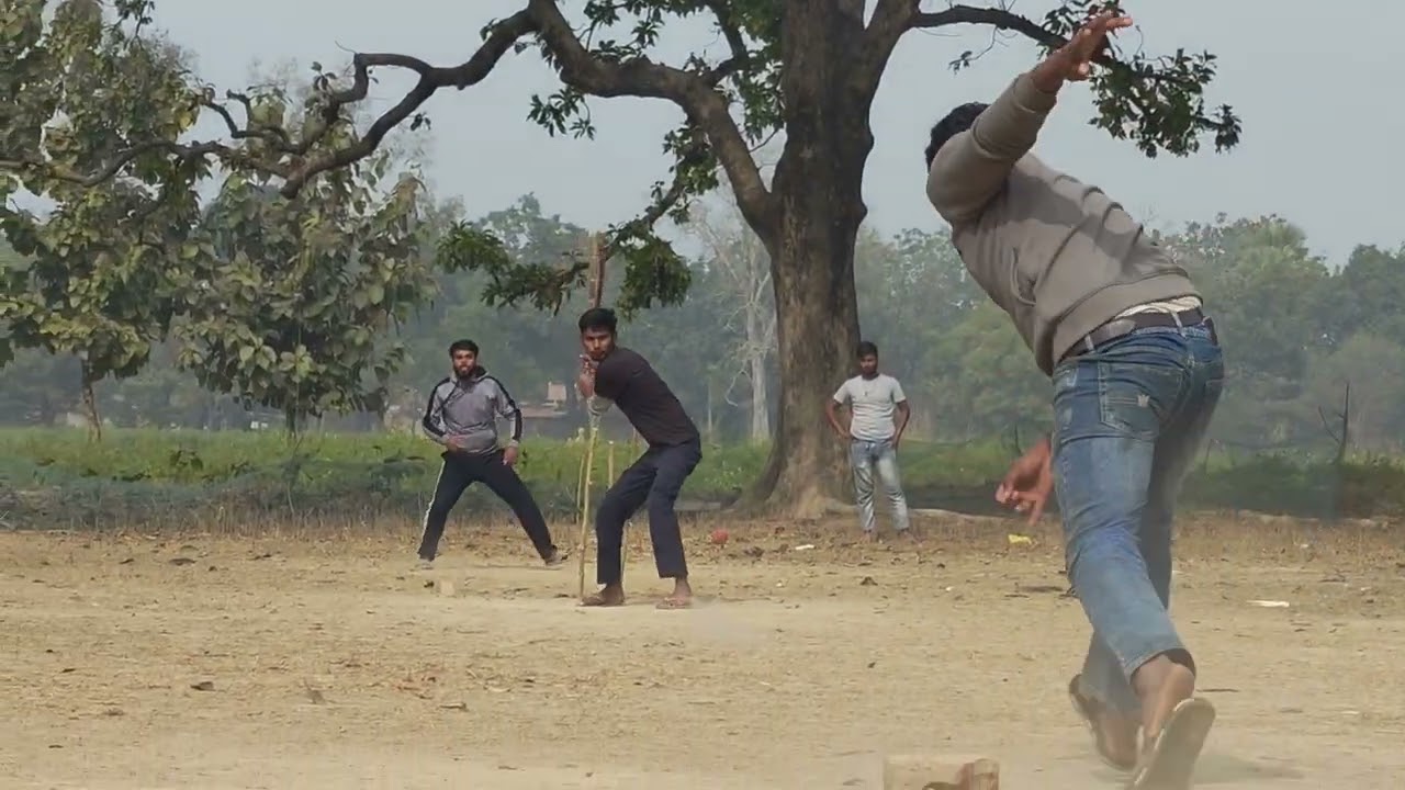 ### Village cricket 