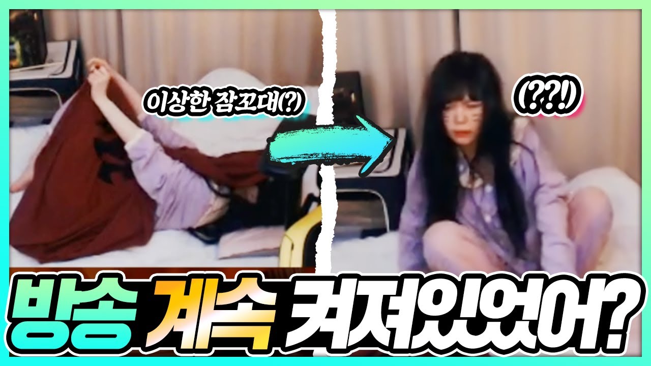 서새봄이 잠방하다 생긴 일