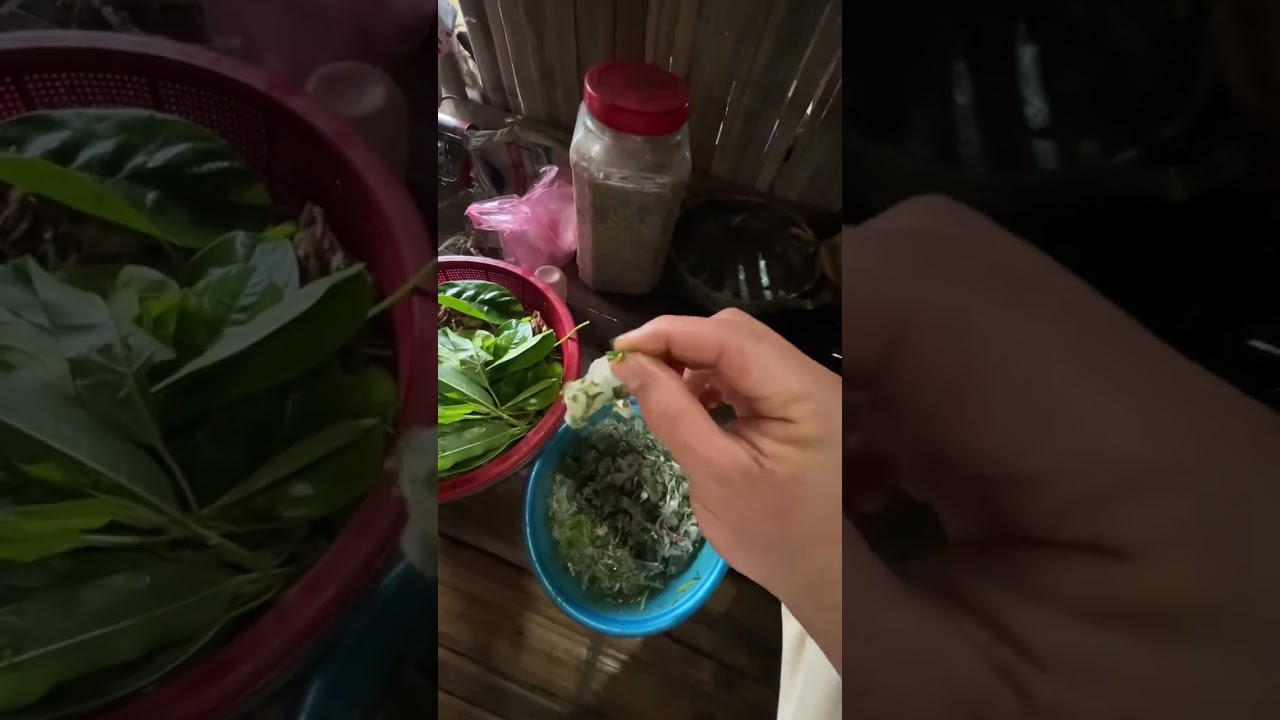 29 đi ăn Tết bên bà nội #traiban #dantocdao #fyp 