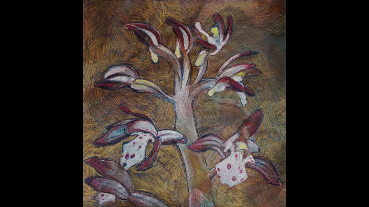 Suminagashi with Mary Wipf - Wind and Water Adventures IV