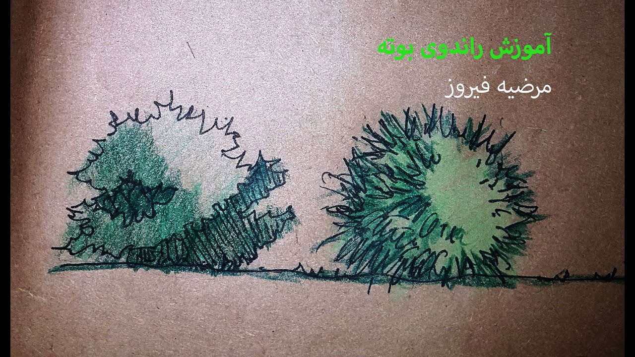 آموزش راندوی با مدادرنگی-  قسمت اول طراحی بوته