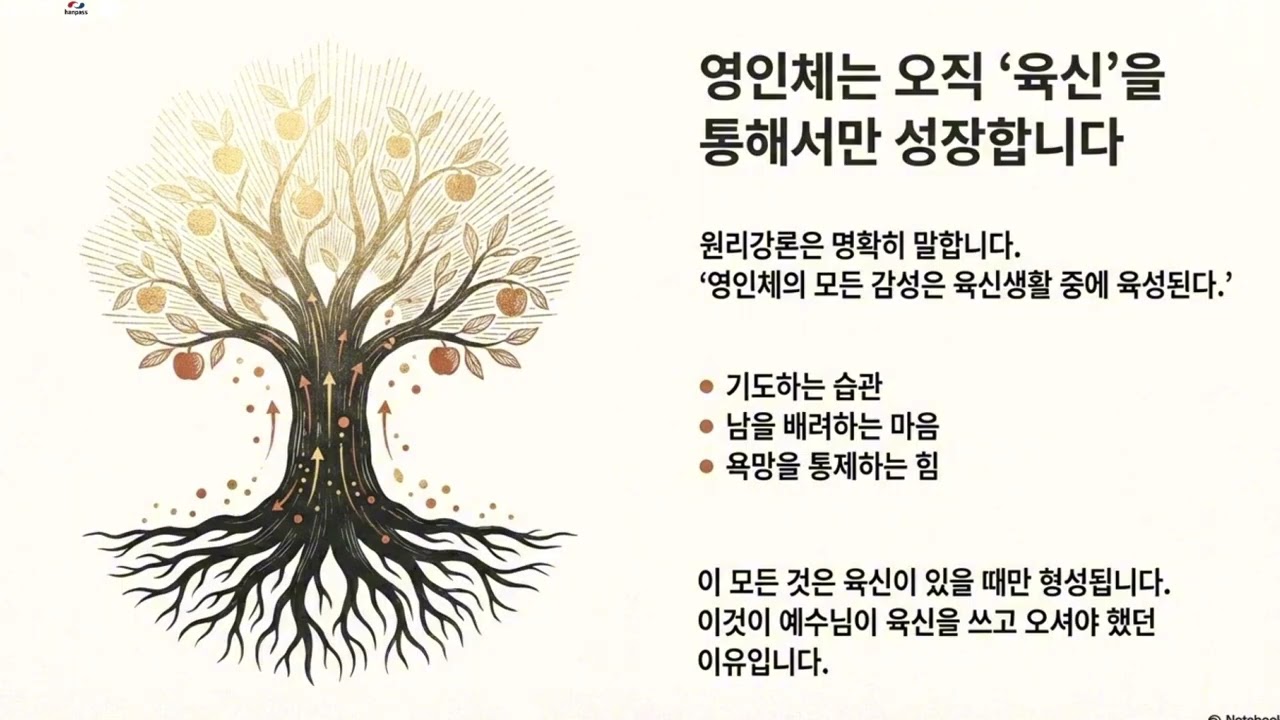 천국은 죽어서 결정되지 않습니다- 이주환 교회 장님 #예배 #말씀 #통일교 #포항가정교회 #천국 