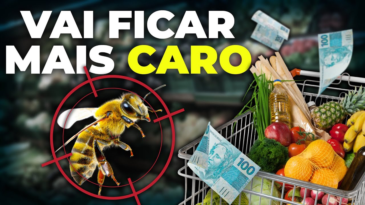 O SUMIÇO DAS ABELHAS que Vai nos DEIXAR SEM COMIDA