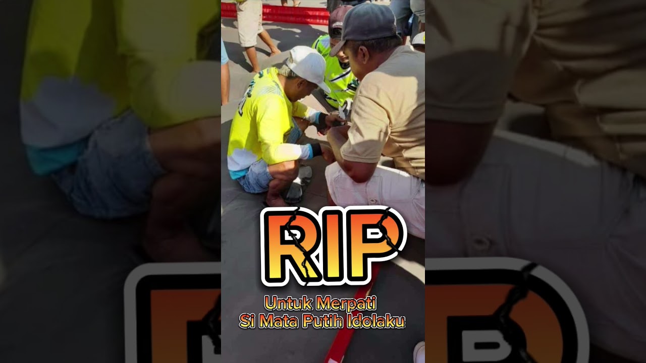 Rip Sang Legend Grendasebah