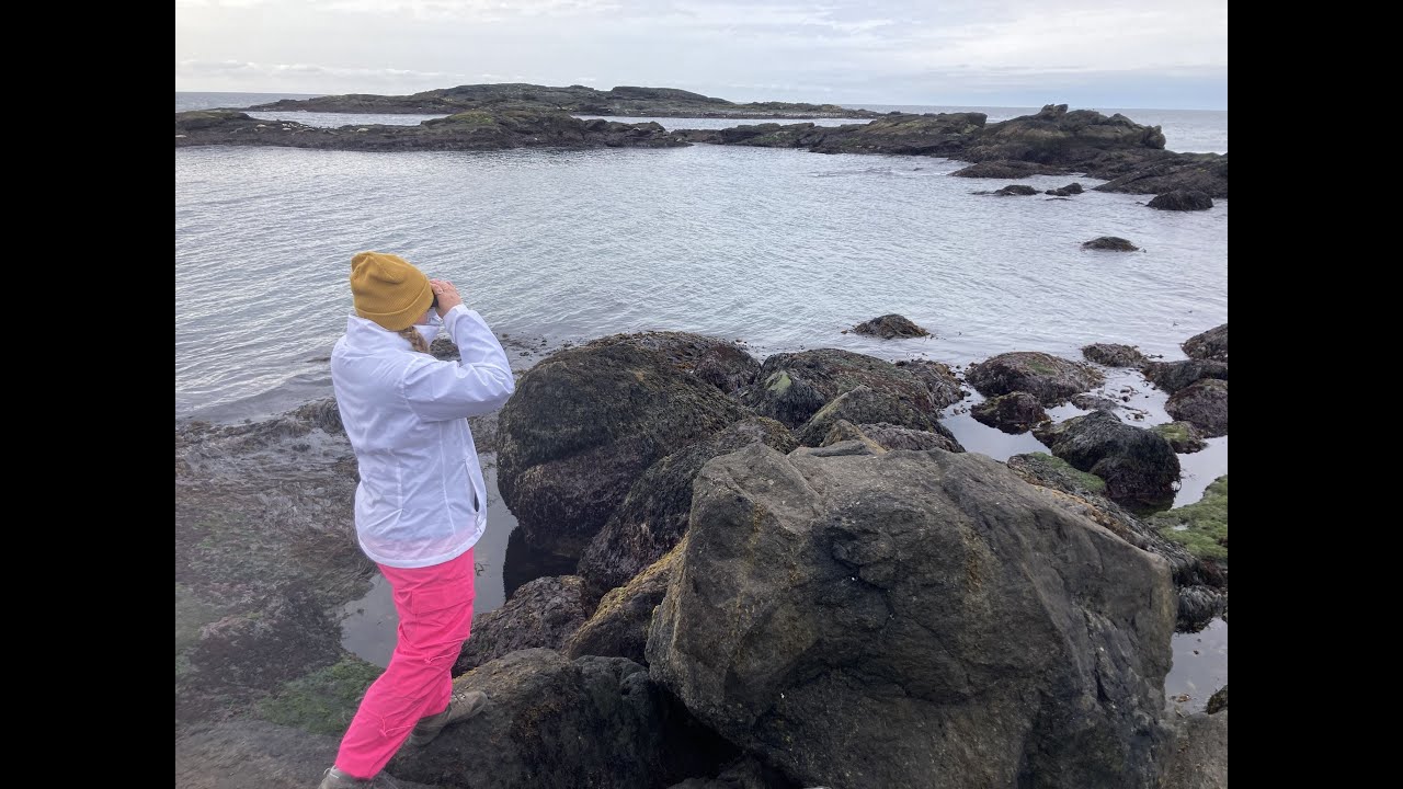 Iceland Day Five Go Pro Diaries