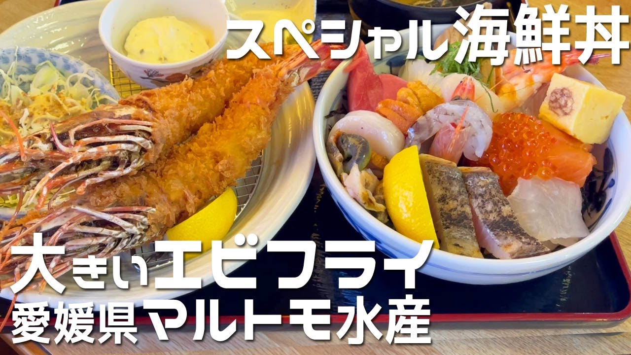 【愛媛県 マルトモ水産】西条市で海鮮食べるなら絶対ココ！特大エビフライ！海鮮丼！イチオシお魚ランチが凄かった！