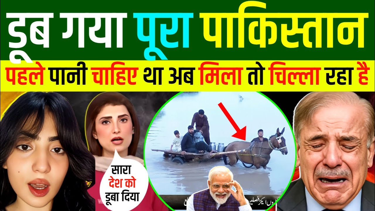 🇵🇰PAK में तबाही 🇮🇳 IND पर इल्ज़ाम | Indian Reaction 