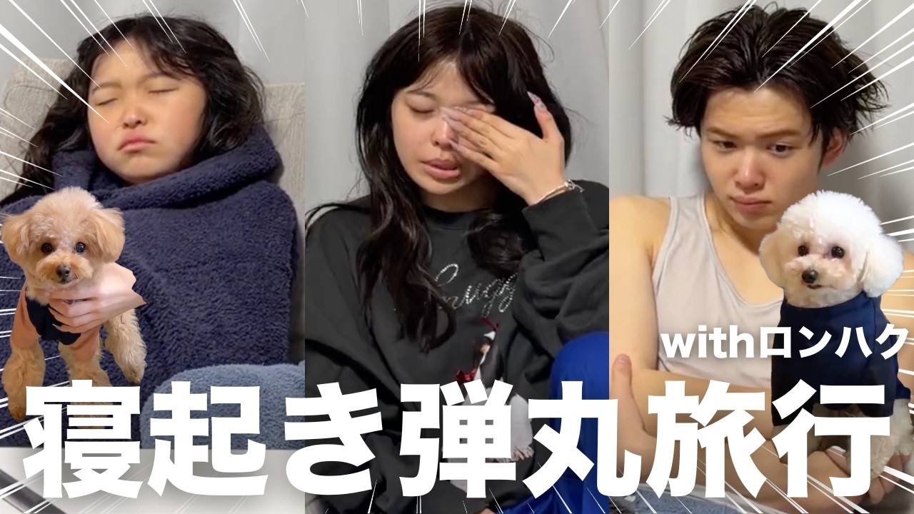 寝起きで弾丸家族旅行withロンハク🐶