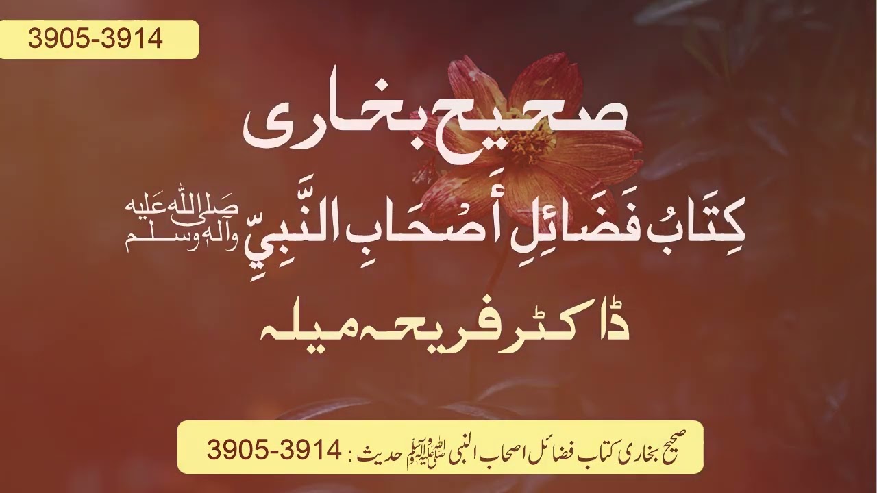 Sahih Bukhari – Kitab Fada’il Ashab Al Nabi Ṣallallāhu ʿalayhi wa Sallam (3905-3914)