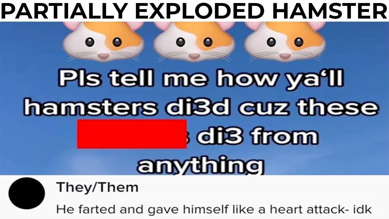 CURSED COMMENTS THAT SHOULD BE ILLEGAL 71