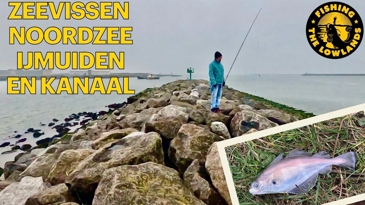 Zeevissen Noordzee IJmuiden en het Noodzee kanaal. FishVlog 