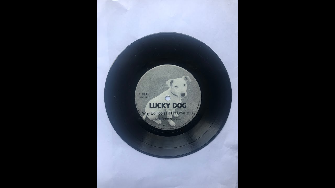 Ross Hannaford's Lucky Dog, studio tracks