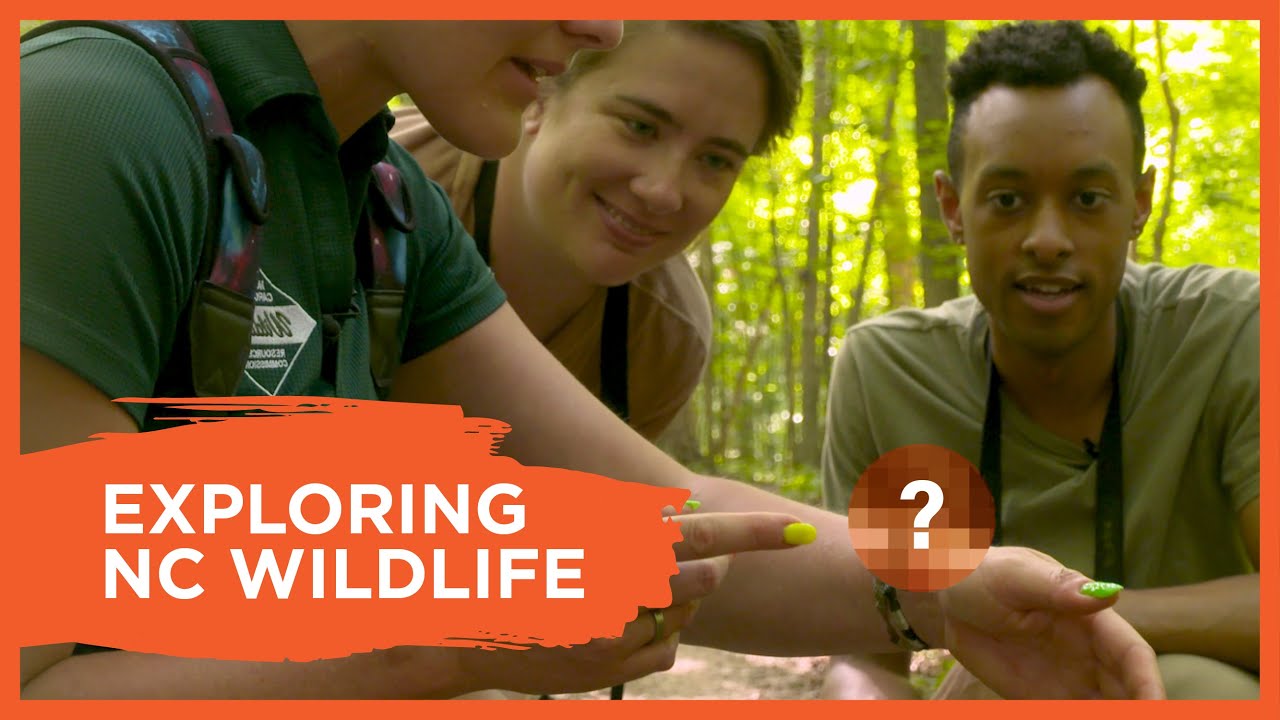 Habitat Exploration with the NC Wildlife Resources Commission