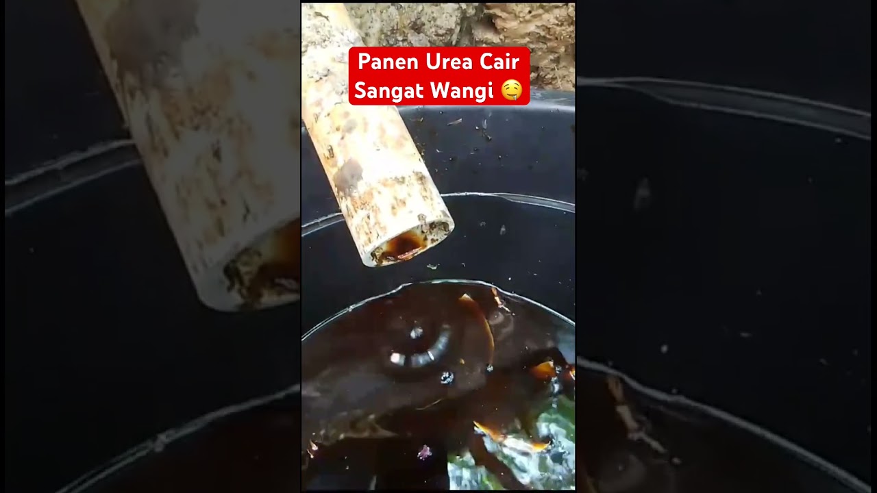 Konsultasi Pembuatan Pupuk Mandiri ‪0895‑4119‑51427‬ (Zafran)