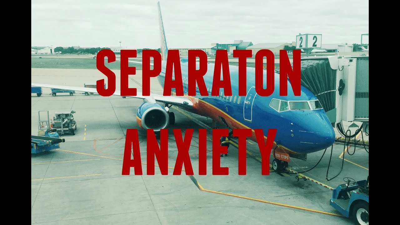 Separation Anxiety | MATT AND BLUE