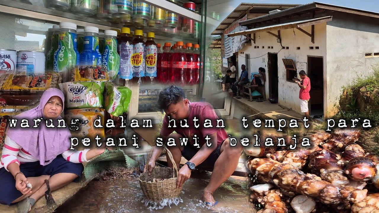 Warung dalam hutan tempat semua petani belanja keuntungan besar dan ramai hidup di hutan