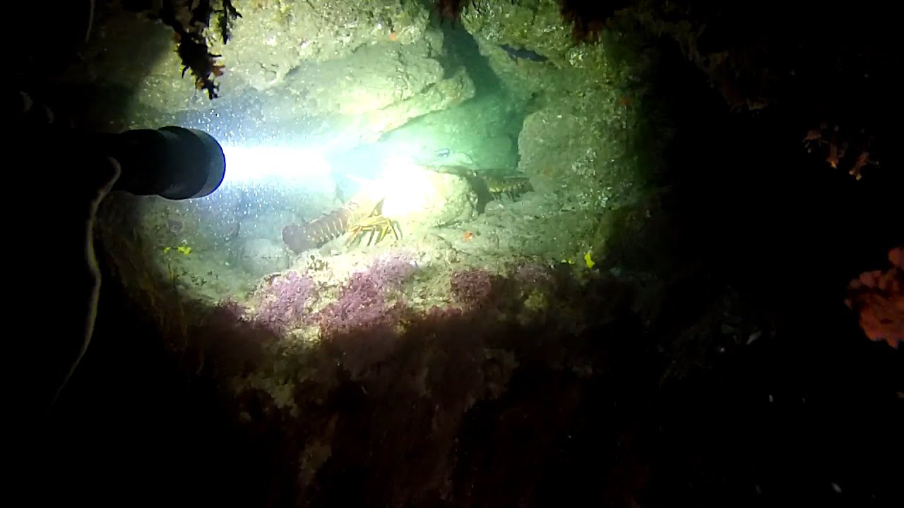 OrcaTorch D511 2200 Lumens Dive Light Test and Review