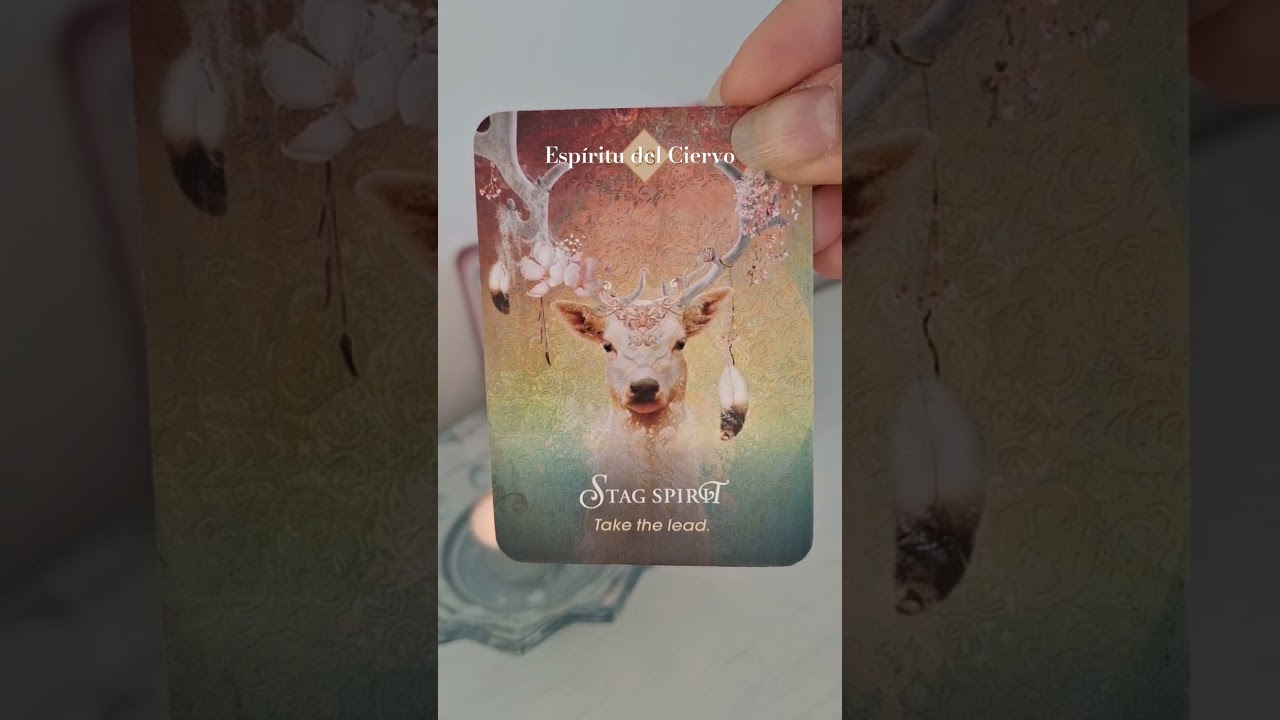 CiervoAnimalSpirit #or&aacute;culo #cartasdetarot #tarotespiritual #aprendiendotarot #tarotespa&ntilde;ol #oraculo