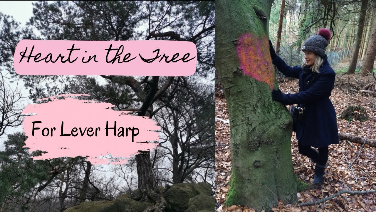 Heart in the Tree on my Camac Excalibur Harp #harp #music #musician #trees #heart #forest #hike