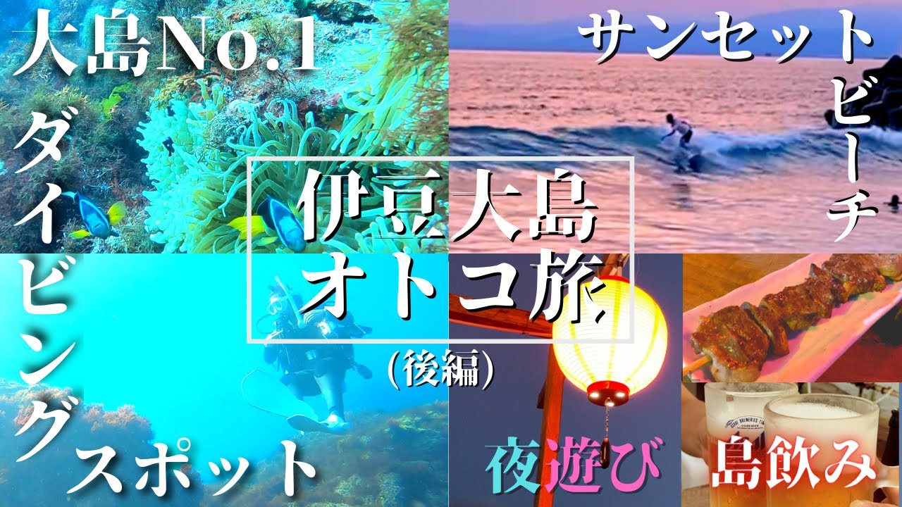 東京伊豆大島🏝超人気ダイビングスポット秋の浜で体験ダイブ🐟 大島ビーチ全部周る!!島民行きつけ絶景テラスの焼き鳥🍖 離島テレワーク/アラサー男旅/観光/リゾート/海水浴/サーフィン/Vlog後編