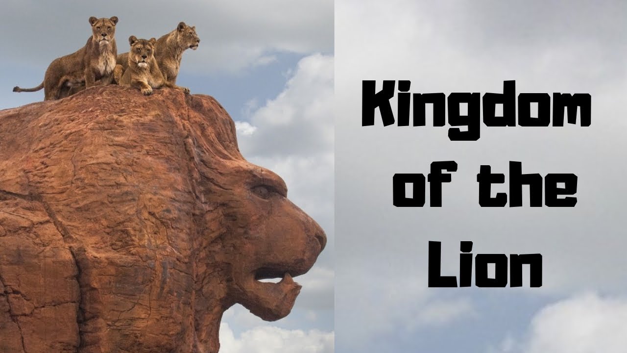 Kingdom of the Lion at West Midlands Safari Park