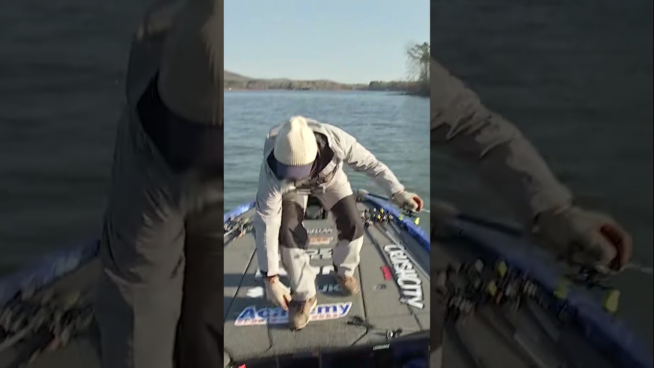 MLF LIVE | 4-й этап Bass Pro Tour | Смотрите прямую трансляцию