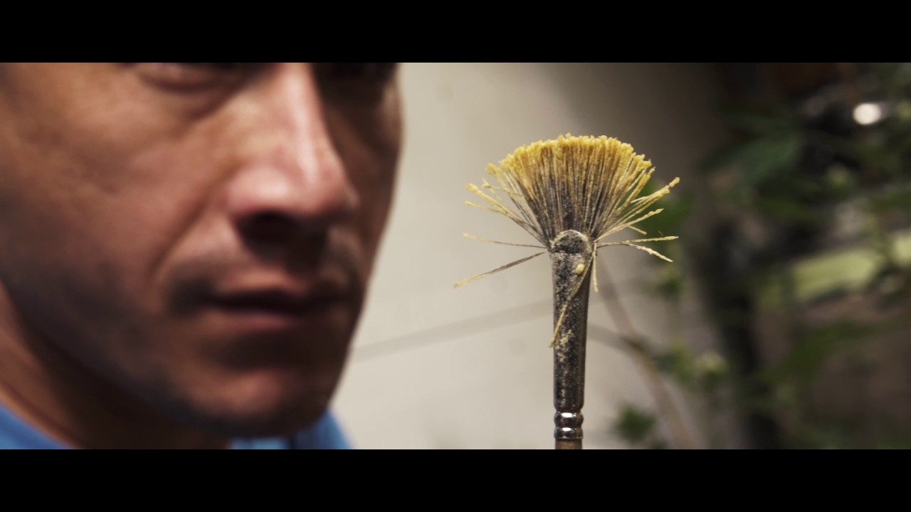 Pollination Time