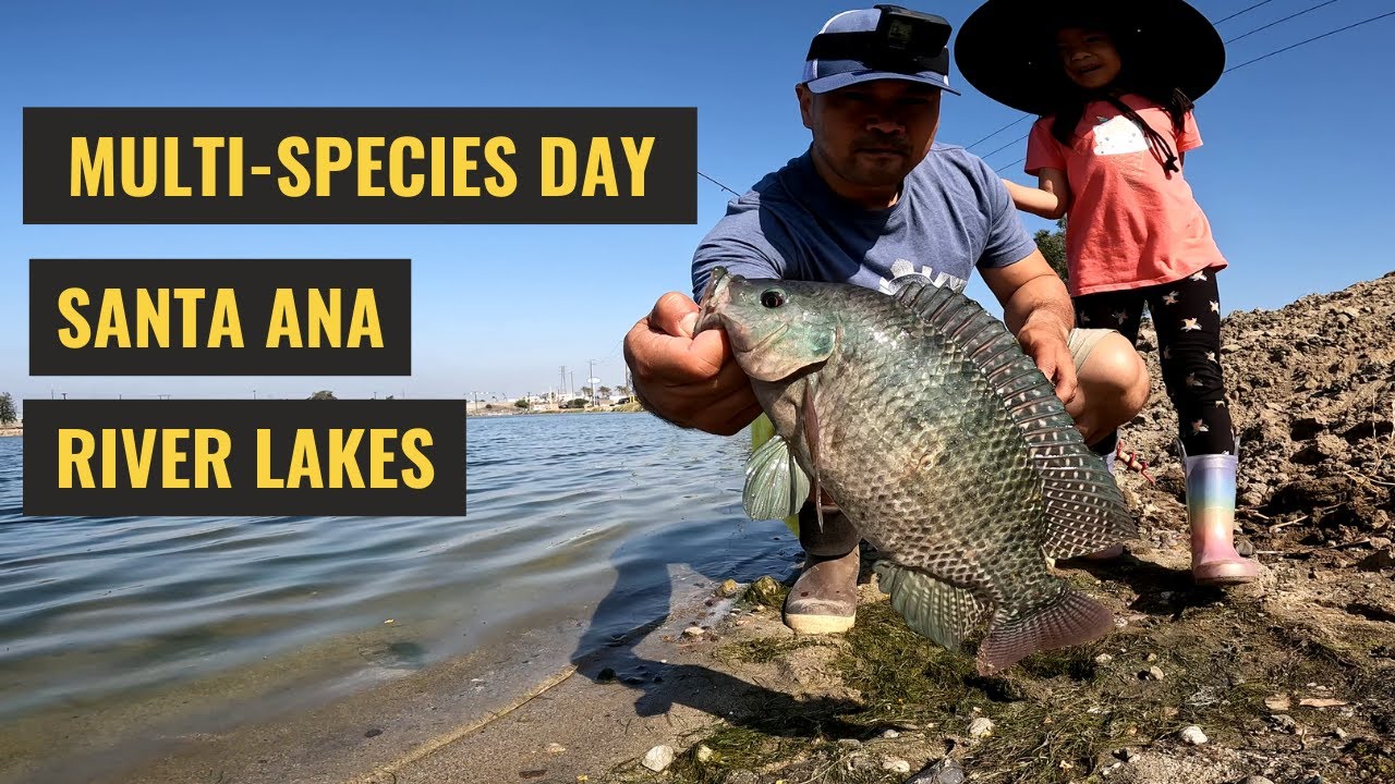 Multi-Species Day at Santa Ana River Lakes