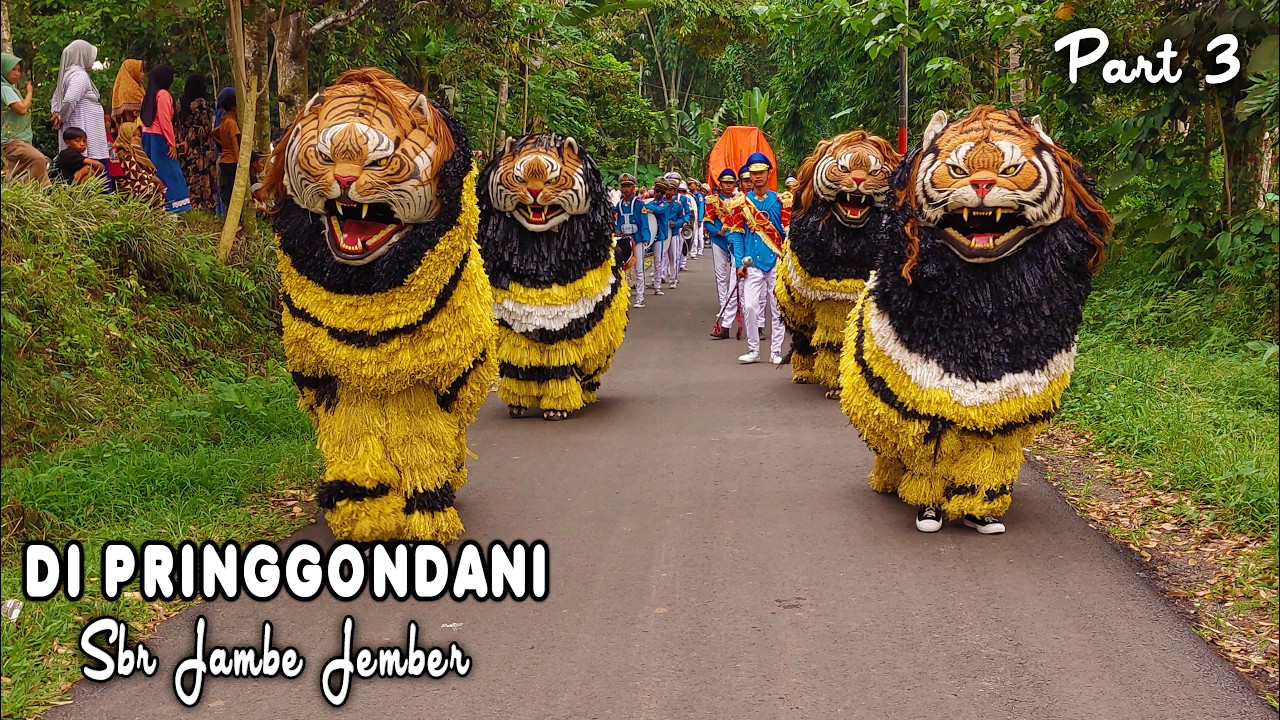 KIRAB CAN MACANAN DAN DRUMBAND SINGO MANGGALA DI PRINGGONDANI SBR JAMBE JEMBER PART3.mp4